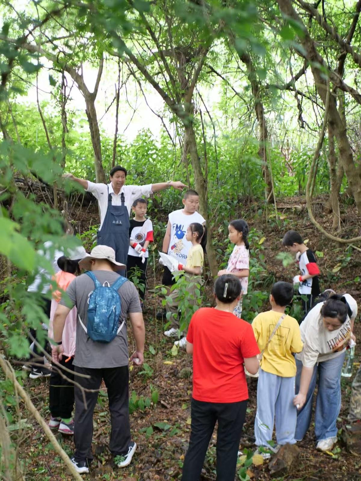 江夏区小农夫生态农场_武汉乡村振兴案例_乡村振兴