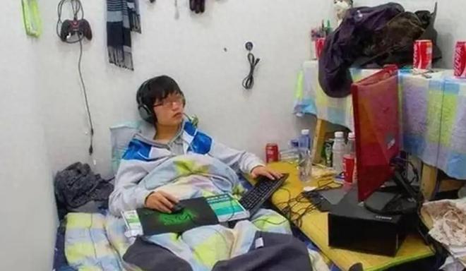 假独立真依赖_困境儿童_新型啃老