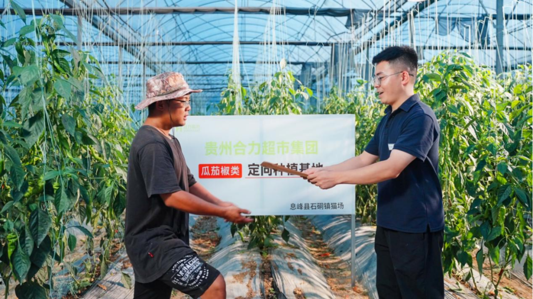 公益_合力超市公益捐赠_微公益项目实践