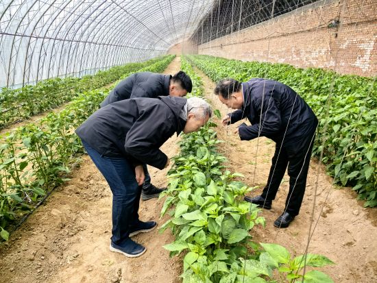 乡村振兴科技支撑行动__乡村振兴科技
