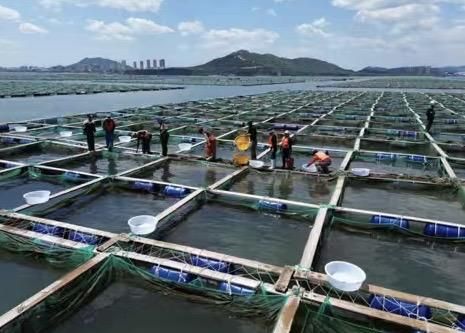 国企改革激发活力提升动力_国企改革动力基金_
