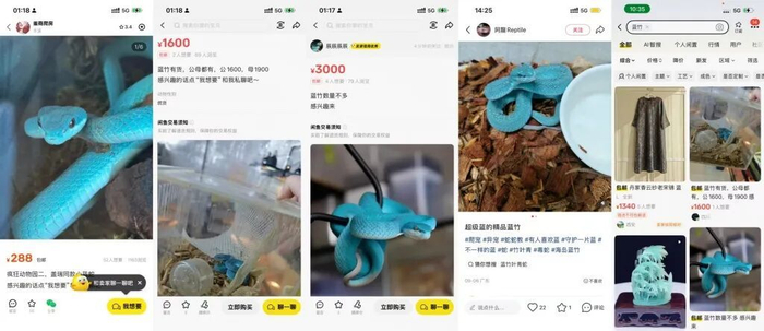 动物保护法什么时候成立的_动物保护等级_动物保护
