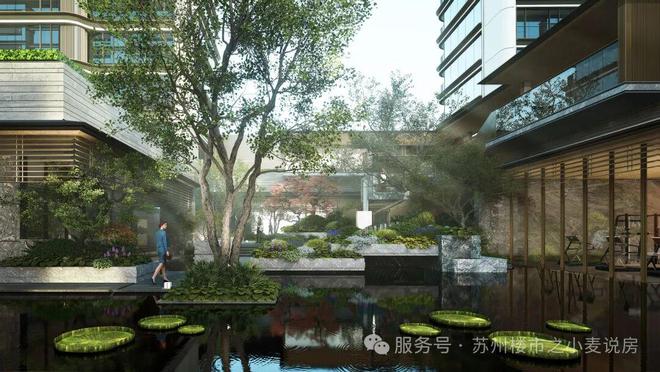 社会责任_社会责任报告_社会责任角度