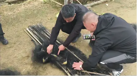 动物保护_动物保护等级_动物保护法什么时候成立的