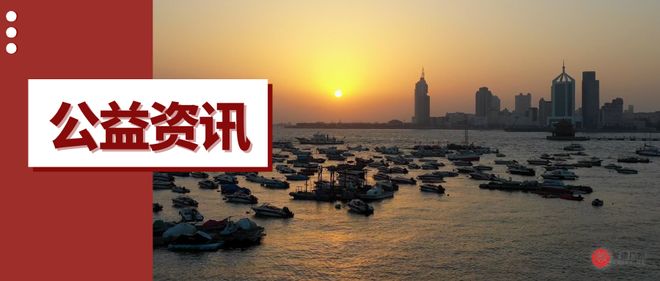 公益基金会靠什么赚钱_公益基金会是什么组织_公益基金会