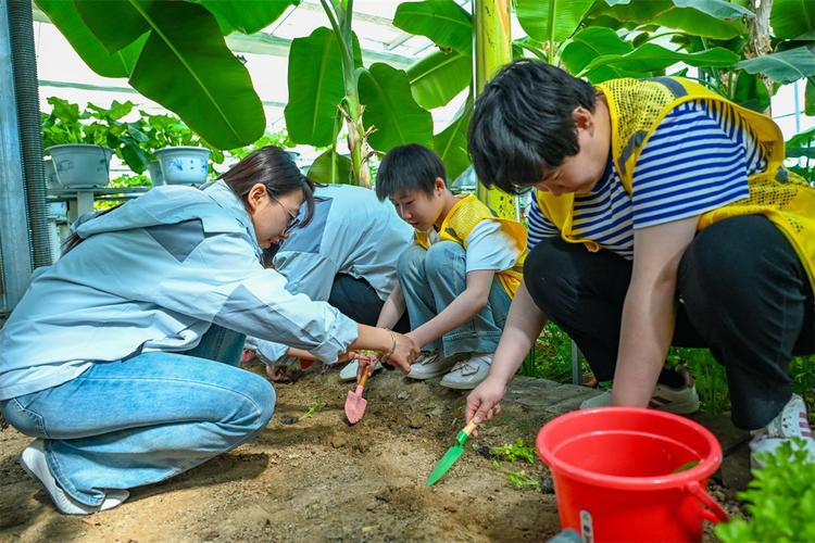 爱心医院_爱心医院24小时热线_爱心医院咨询电话