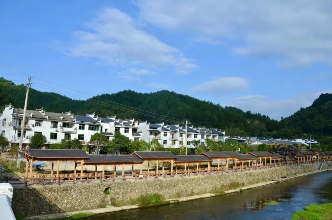 崇际村水清岸绿景美、村容整洁。