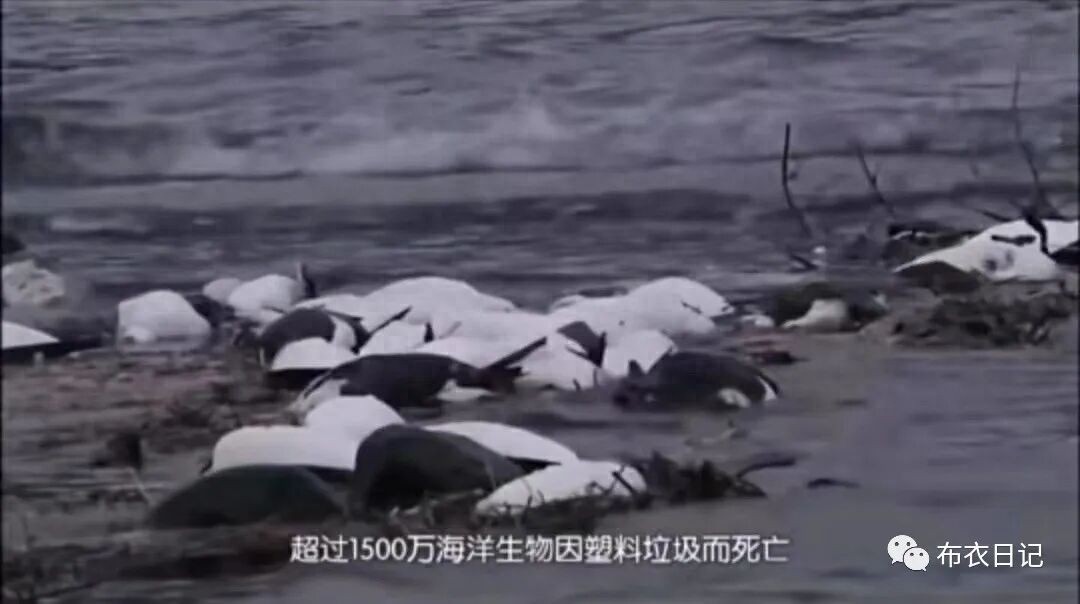 为什么要参与公益慈善事业_公益慈善_参与公益慈善的途径