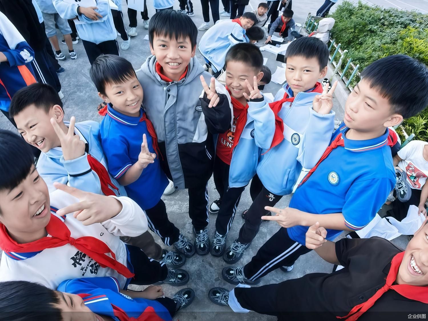 企业供图