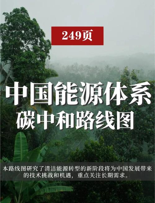 碳中和_中和碳排放_中和碳公司