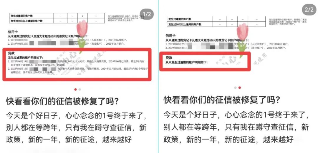 网友晒出的征信报告截图