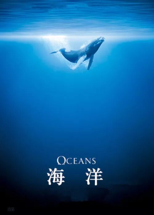 海洋卫士公益_海洋小卫士_海洋卫士是做什么的