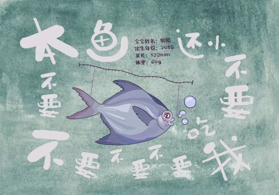 海洋小卫士_海洋卫士是做什么的_海洋卫士公益