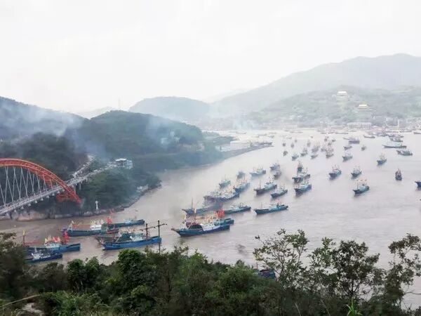 海洋卫士是做什么的_海洋卫士2020_海洋卫士公益