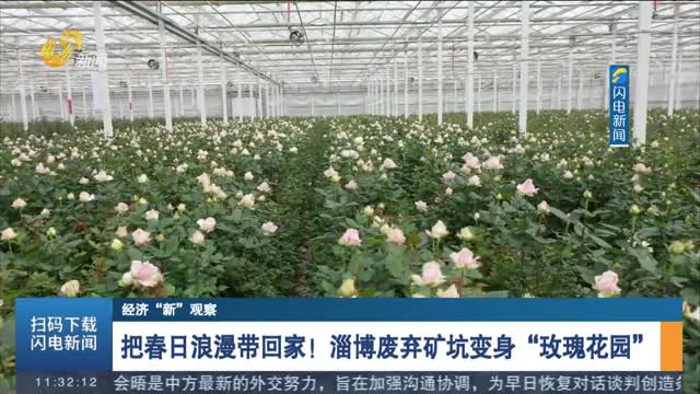 把春日浪漫带回家！淄博废弃矿坑变身“玫瑰花园”