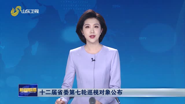 十二届省委第七轮巡视对象公布