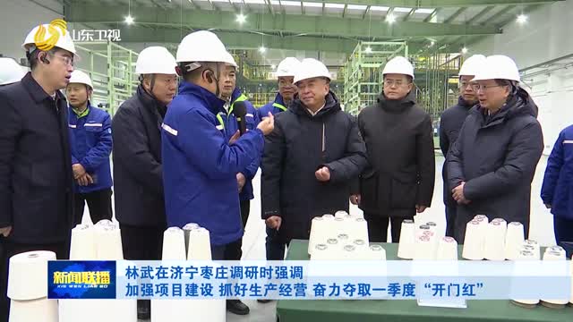 林武在济宁枣庄调研时强调 加强项目建设 抓好生产经营 奋力夺取一季度“开门红”