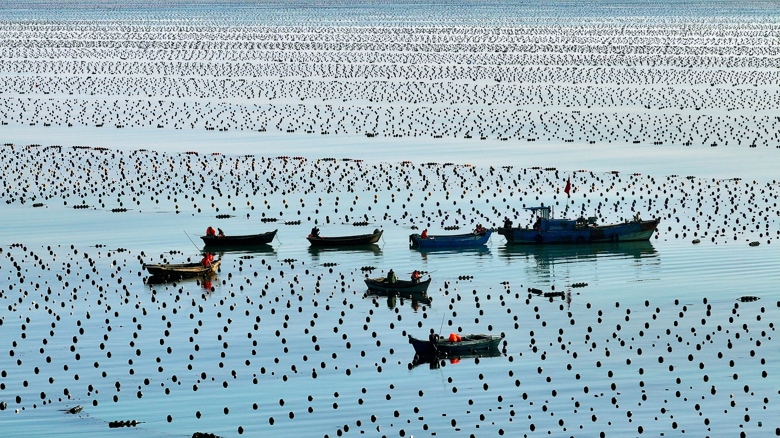 _海上养殖需要什么手续_海上养殖场叫什么