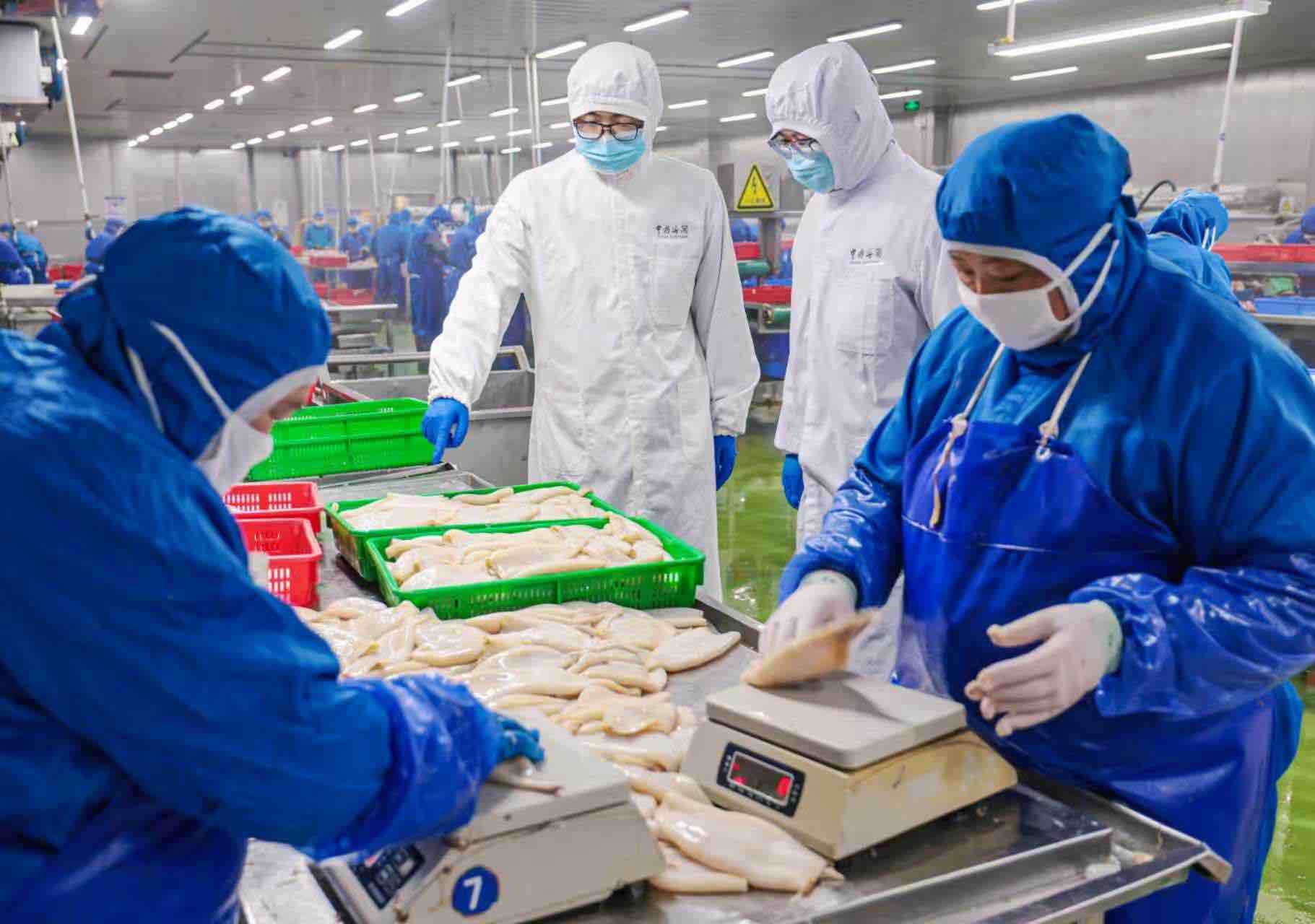 _荣成市鱿鱼加工食品厂_鱿鱼出口困境