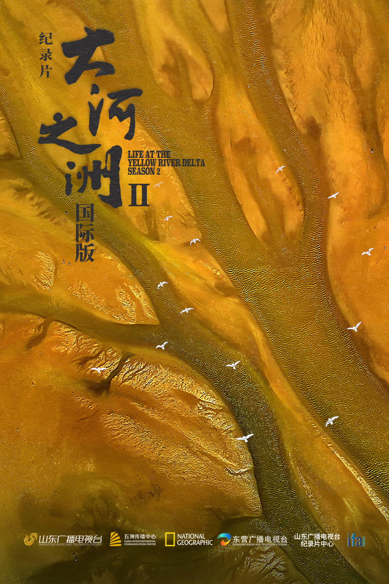 济南广播电视局__济南广播电视台领导班子成员