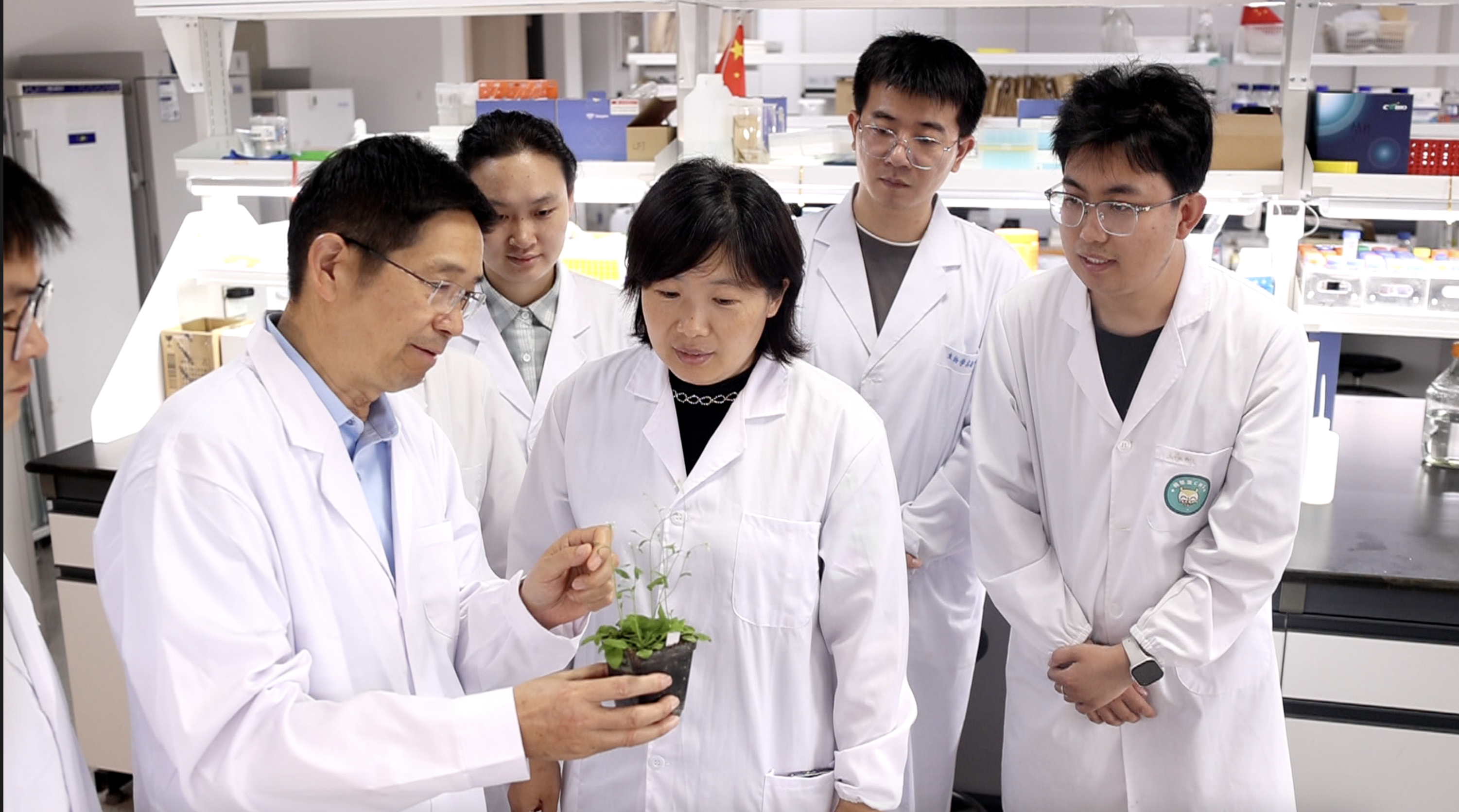 _活力新锐_活力新创生物科技有限公司