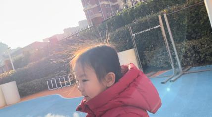 奇妙的静电__奇妙的静电现象