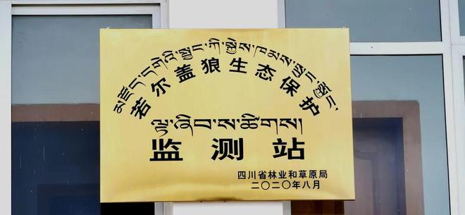 科技监测野生动物_动物保护_野生动物保护