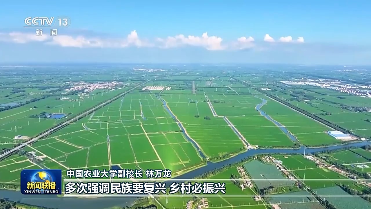 锚定农业农村现代化_扎实推进乡村全面振兴_乡村振兴