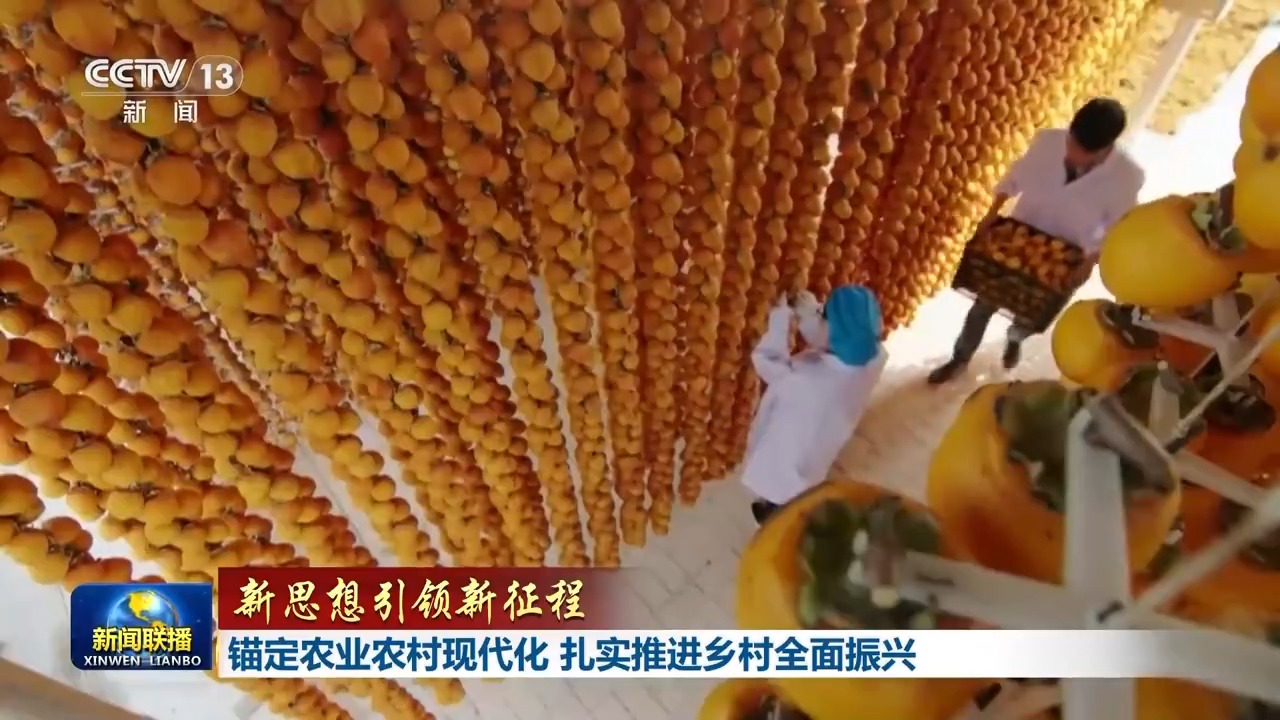锚定农业农村现代化_扎实推进乡村全面振兴_乡村振兴