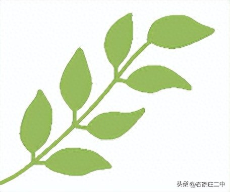 AI公益助力扶贫_AI助学公益计划_科技赋能教育均衡