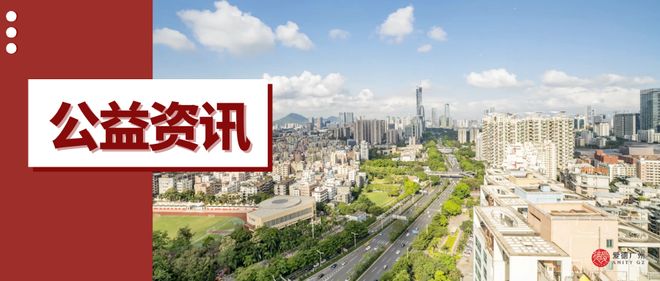 公益银行项目_银发公益项目_公益银发项目有哪些