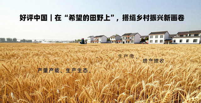 乡村振兴_锚定农业农村现代化 扎实推进乡村全面振兴 中央一号文件