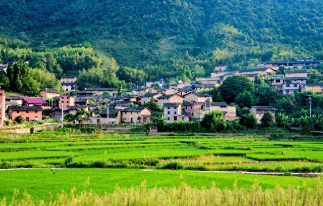 乡村振兴战略_农村经济多元化发展_乡村振兴