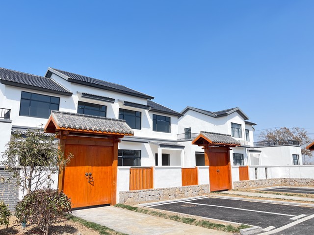 乡村振兴战略_乡村振兴_农村经济多元化发展