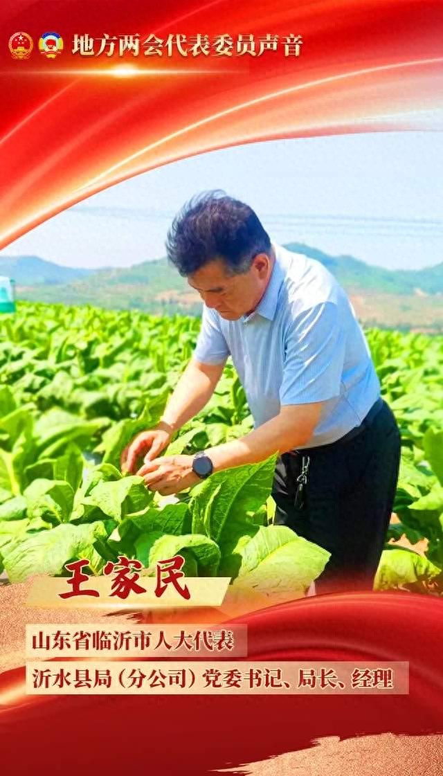 乡村振兴_全链条特色化帮扶模式_乡村振兴产业赋能