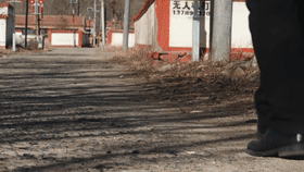 智慧农业物联网技术_乡村振兴代表委员建言_乡村振兴