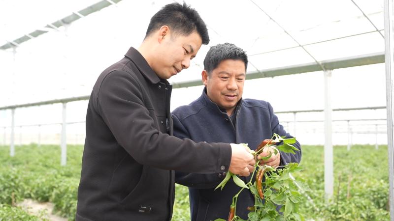 AI赋能乡村振兴_中部数字兴农_AI公益助力扶贫
