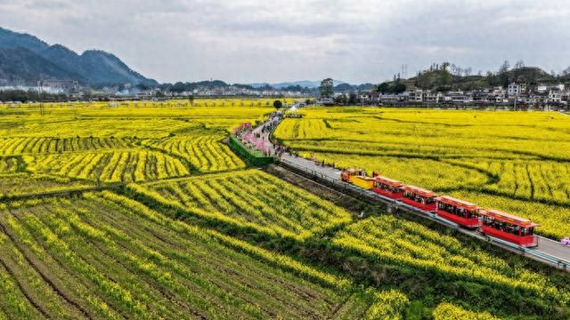 乡村振兴 传统村落文化活化发展_基层治理 村民主体性_乡村振兴
