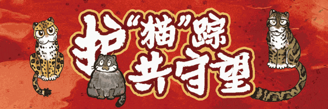 动物保护日_动物保护_动物保护法