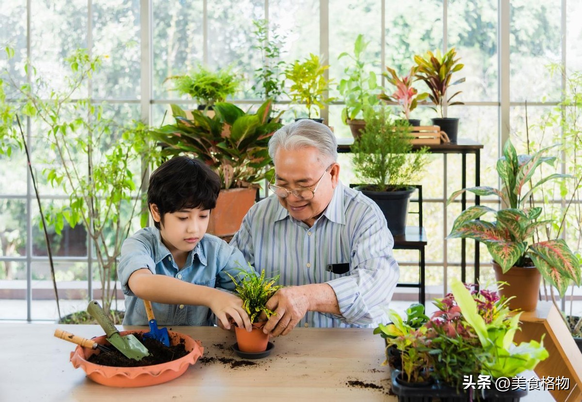 留守儿童政策变化_留守儿童_乡村就业机会增加