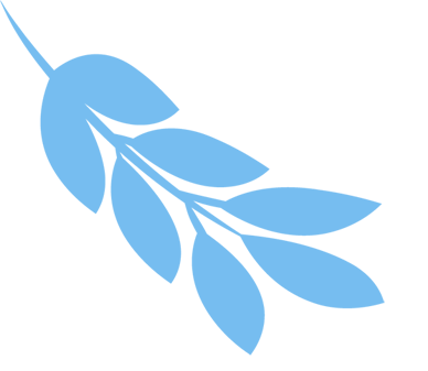 灾害应急培训体系_应急小单元体系建设_基层防汛防台培训