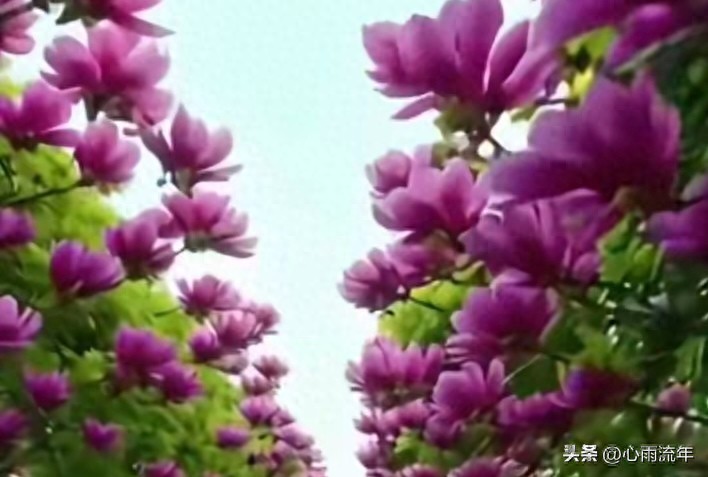 元宇宙背后赚钱的逻辑是什么？