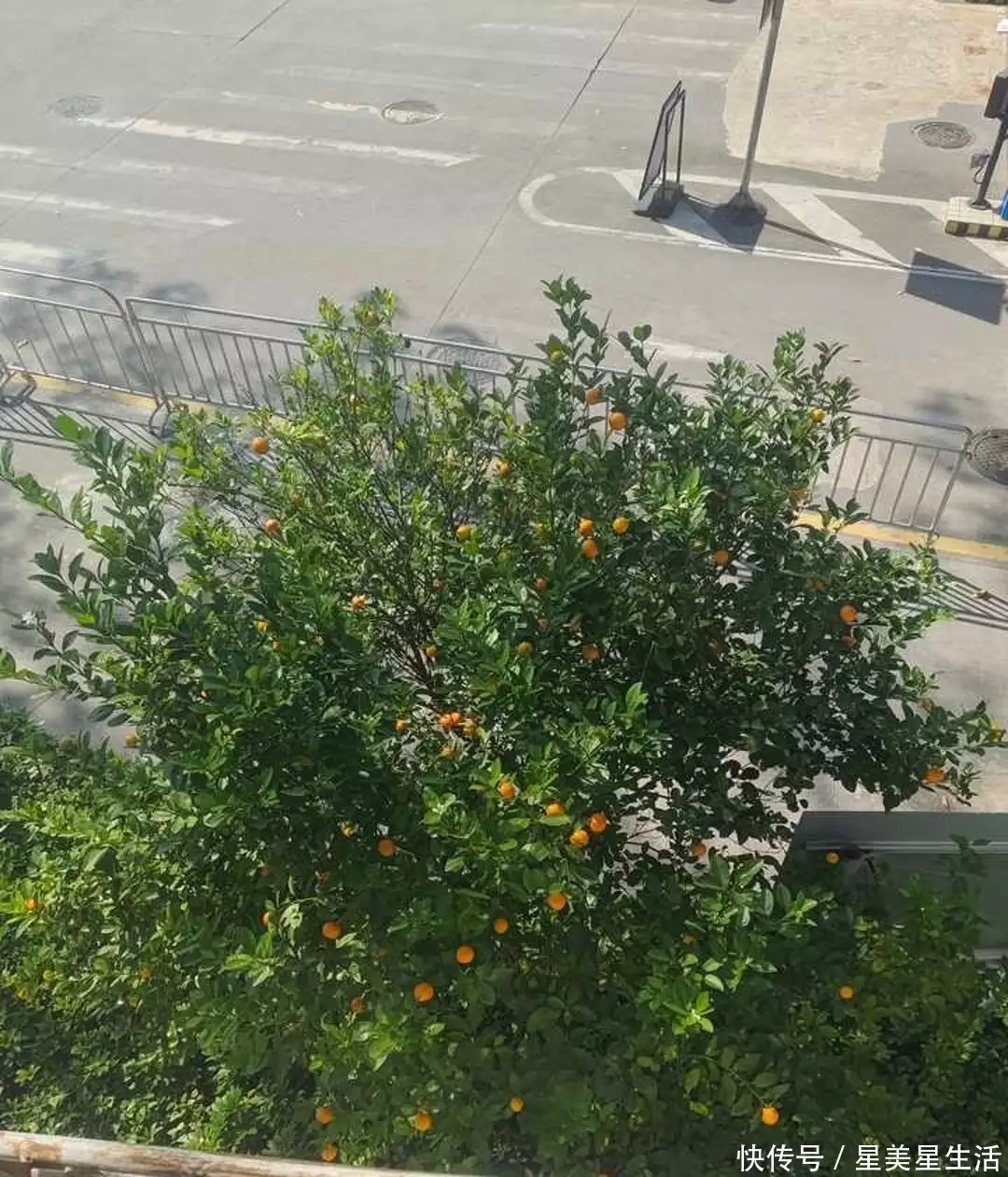 留守的孩子，心里那道填不平的沟
