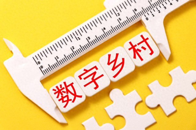 关于以数字赋能推动乡村教育转型变革的调研报告