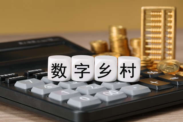 乡村教育_乡村教育数字化转型_数字技术赋能乡村教育