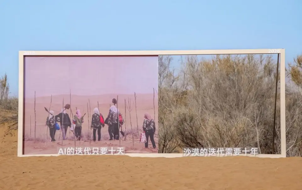 指尖公益 蚂蚁森林十年：从一棵梭梭树，到七亿人的绿色长征
