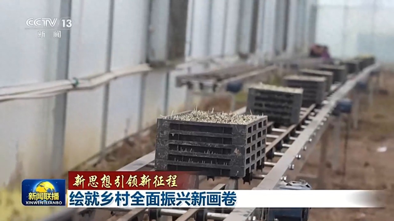 新思想引领新征程丨绘就乡村全面振兴新画卷