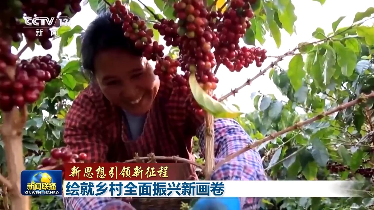 乡村振兴_乡村振兴战略_中国农业农村现代化