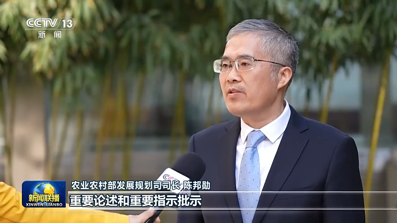 乡村振兴战略_中国农业农村现代化_乡村振兴