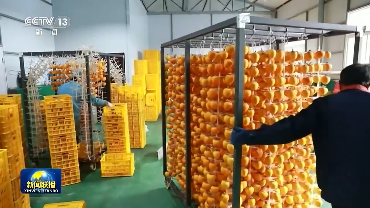 乡村振兴_乡村振兴战略_中国农业农村现代化
